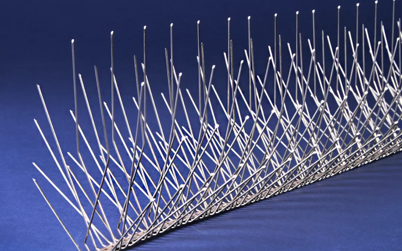 Best Bird Spike Installation Services In Colaba