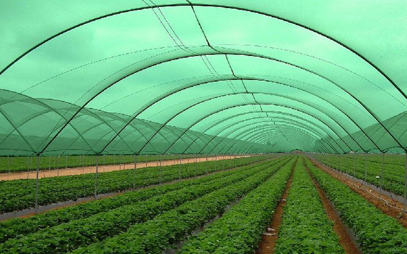 Best Shade Net Installation Services In Thane